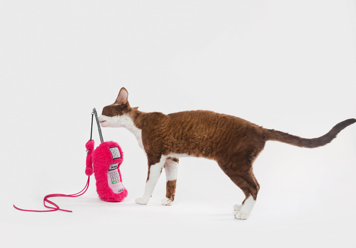 The Feature Phone Retractable Cat Teaser Wand.