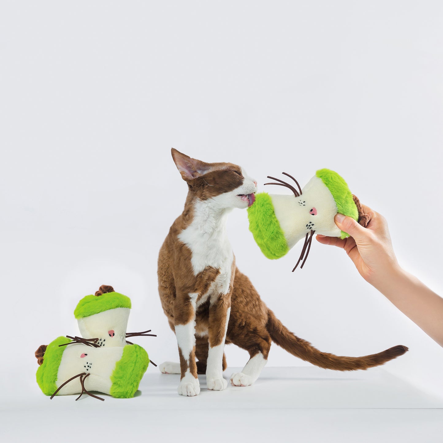 Social Anxiety Apple