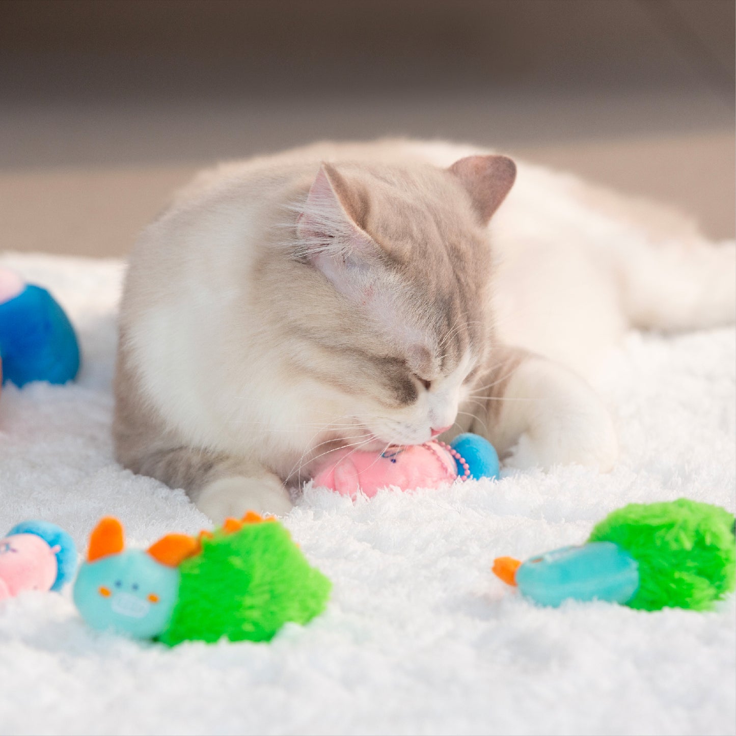 Ocean Series Dolls Mystery Box