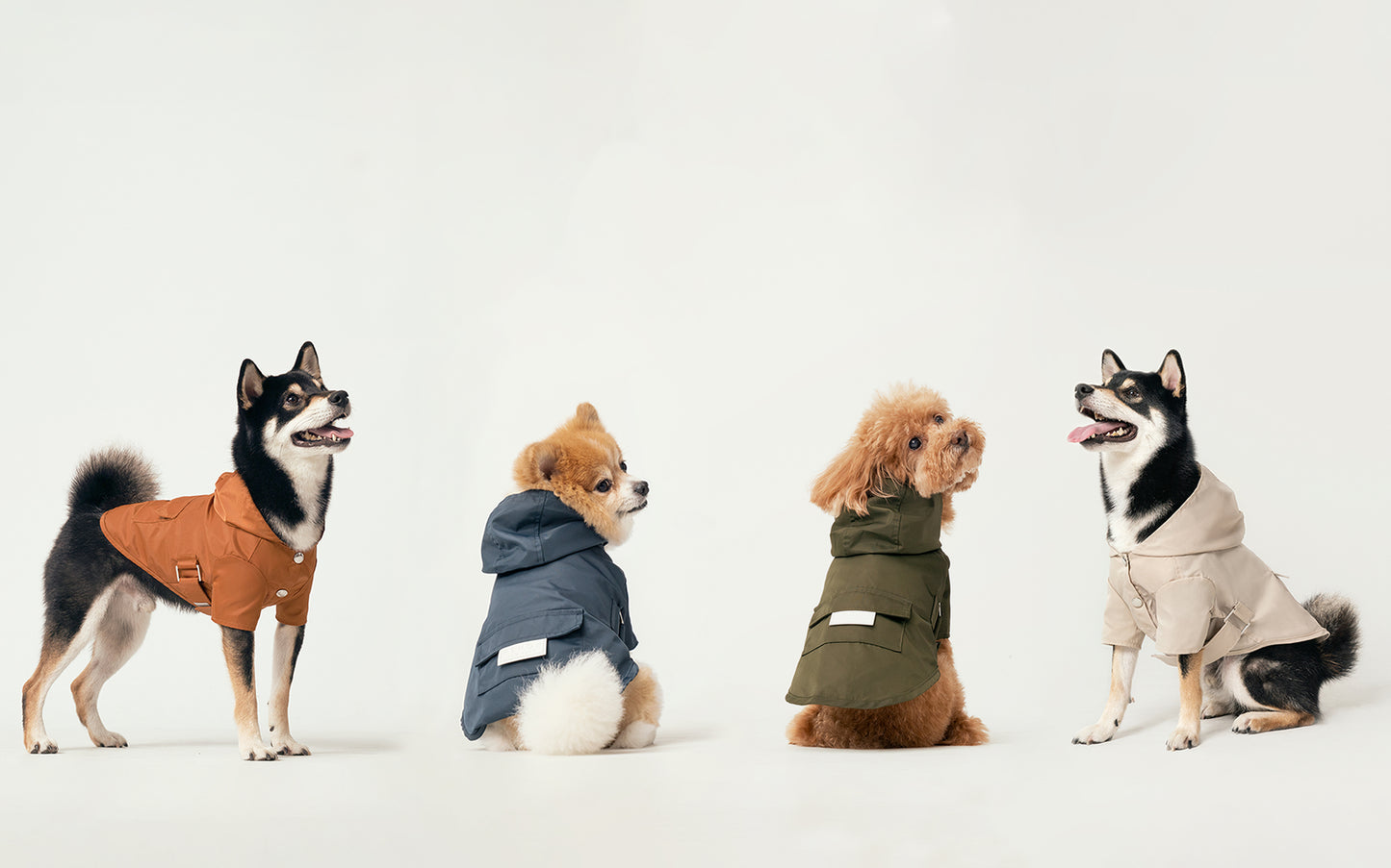 Chubasquero para perros - Chaqueta con capucha informal a prueba de viento impermeable de ancho de cinturón ajustable